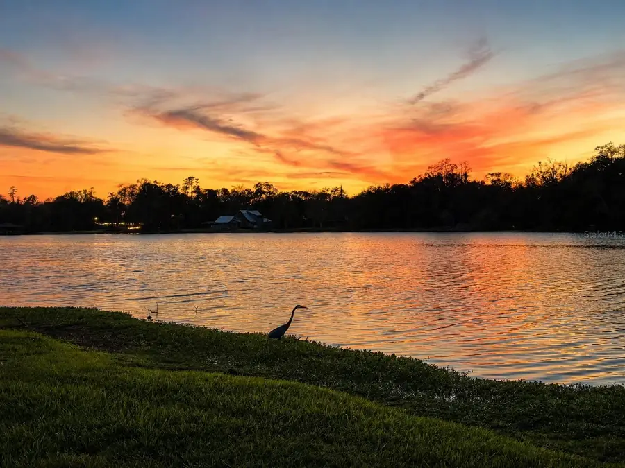 3330 Ehrlich Road, Tampa, FL 33618 - #2