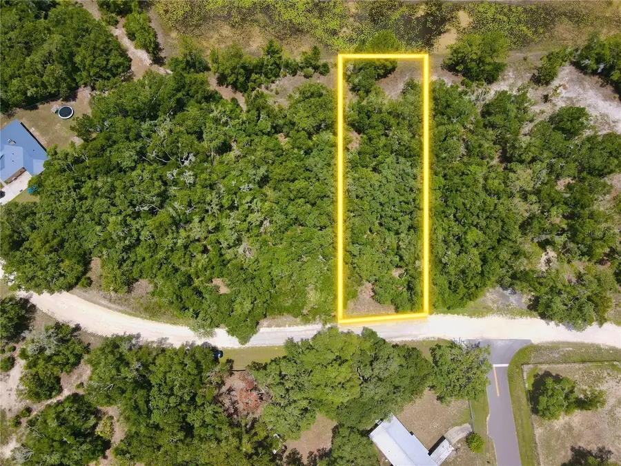 34237 Shaffer Drive, Dade City, FL 33523 - #2