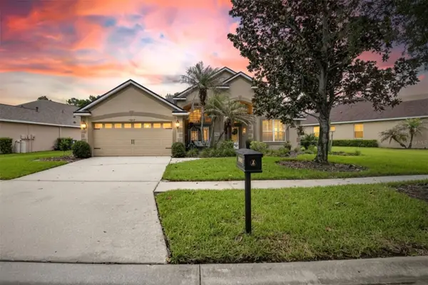 16525 Bridgewalk Drive, LITHIA, FL 33547