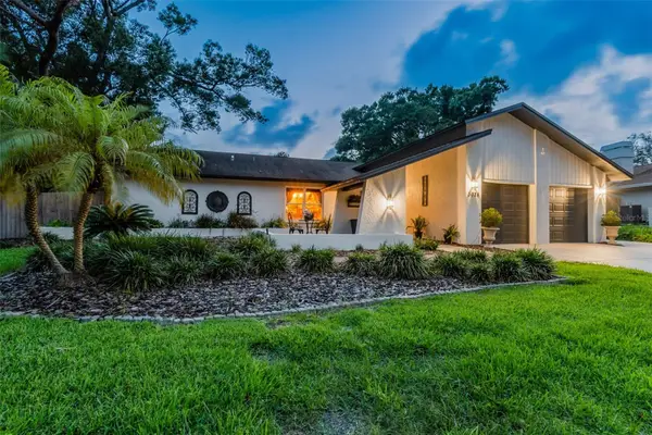 3034 Enisglen Drive, PALM HARBOR, FL 34683