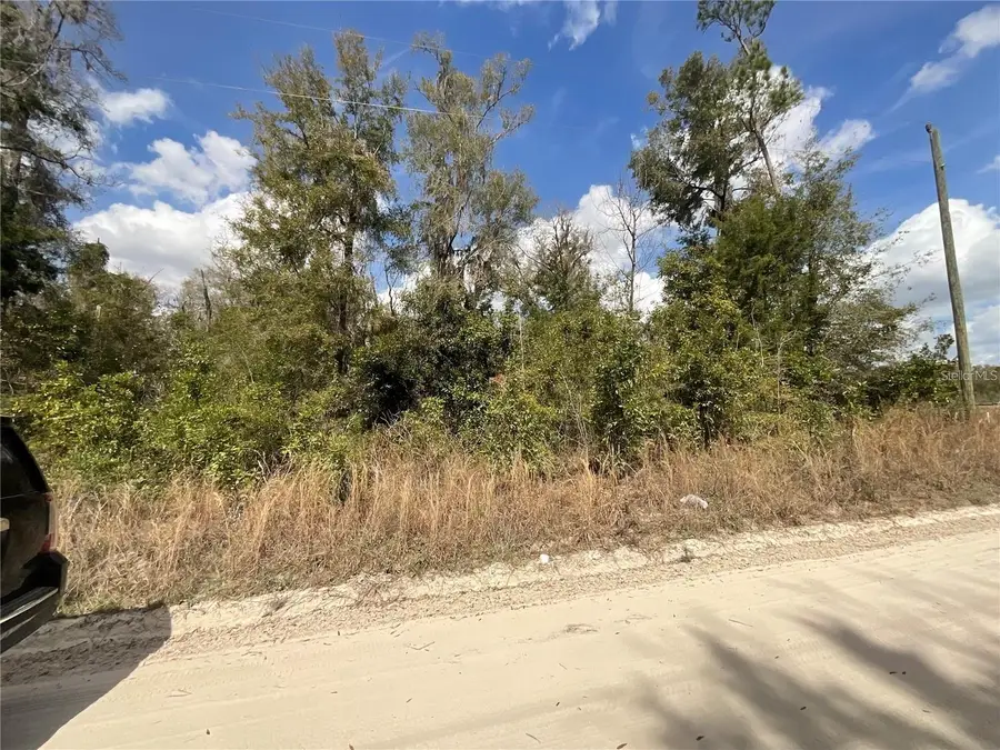SW Old Spanish Road, Fort White, FL 32038 - #2
