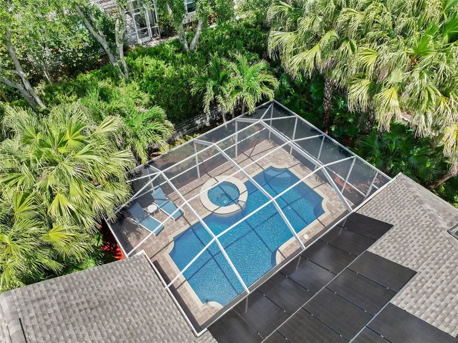 209 Highland Woods Drive, Safety Harbor, FL 34695 - #3