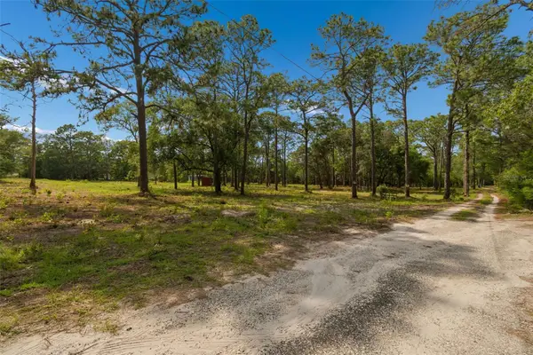 Grove Road, BROOKSVILLE, FL 34613