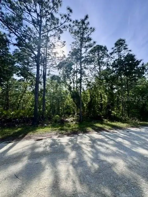 Macek Road, Weeki Wachee, FL 34614 - #1