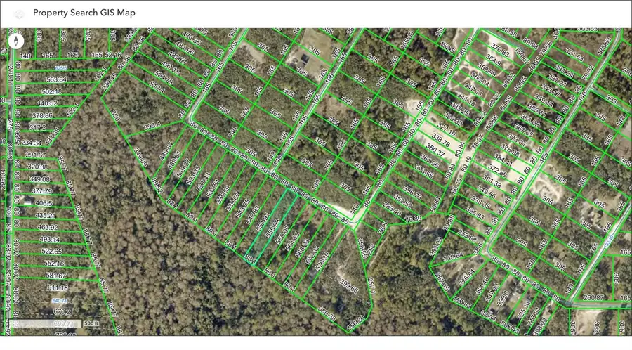 TBD Medicine Stone Drive, Webster, FL 33597 - #2