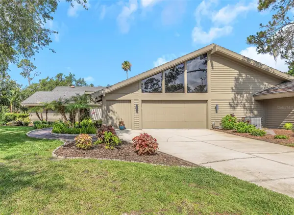 5331 Sand Crane Court, WESLEY CHAPEL, FL 33543