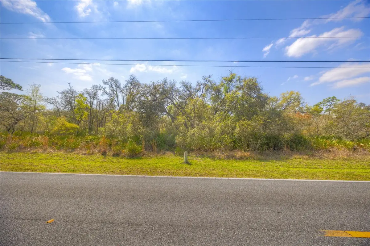 35166 Cornerstone Drive, Webster, FL 33597 - #1