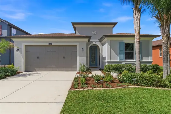 28930 Revaro Lane, WESLEY CHAPEL, FL 33543