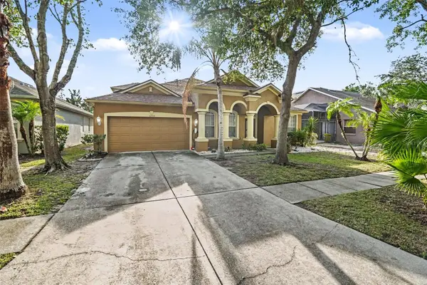 12515 Burgess Hill Drive, RIVERVIEW, FL 33579