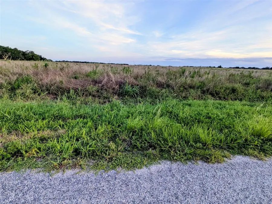 Tom Bryan Rd, Zolfo Springs, FL 33890 - #3
