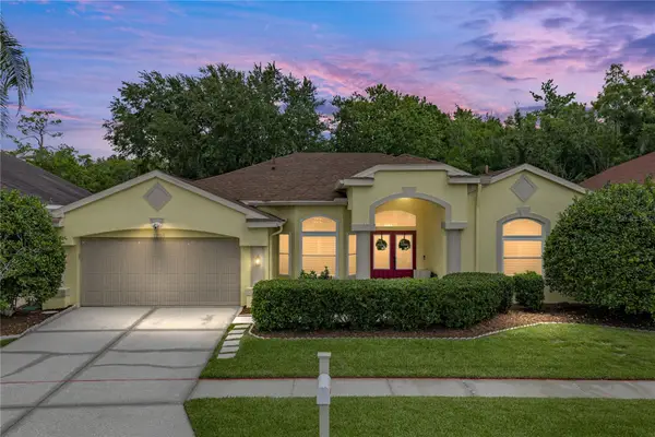 1808 Tangledvine Drive, WESLEY CHAPEL, FL 33543