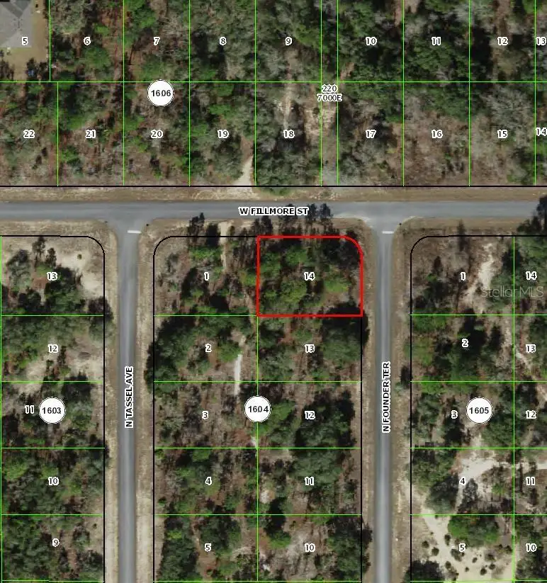 6716 N Founder Terrace, Dunnellon, FL 34433 - #2