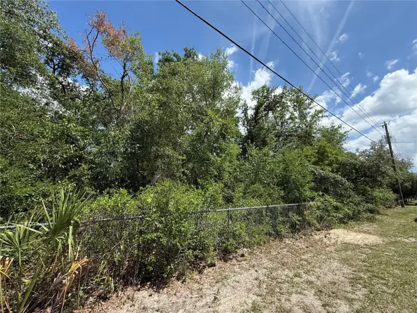 11748 Turkey Lane, NEW PORT RICHEY, FL 34654