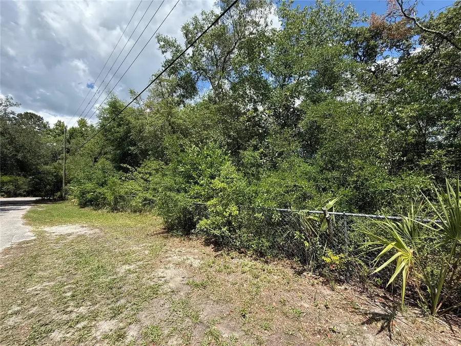 11748 Turkey Lane, New Port Richey, FL 34654 - #2