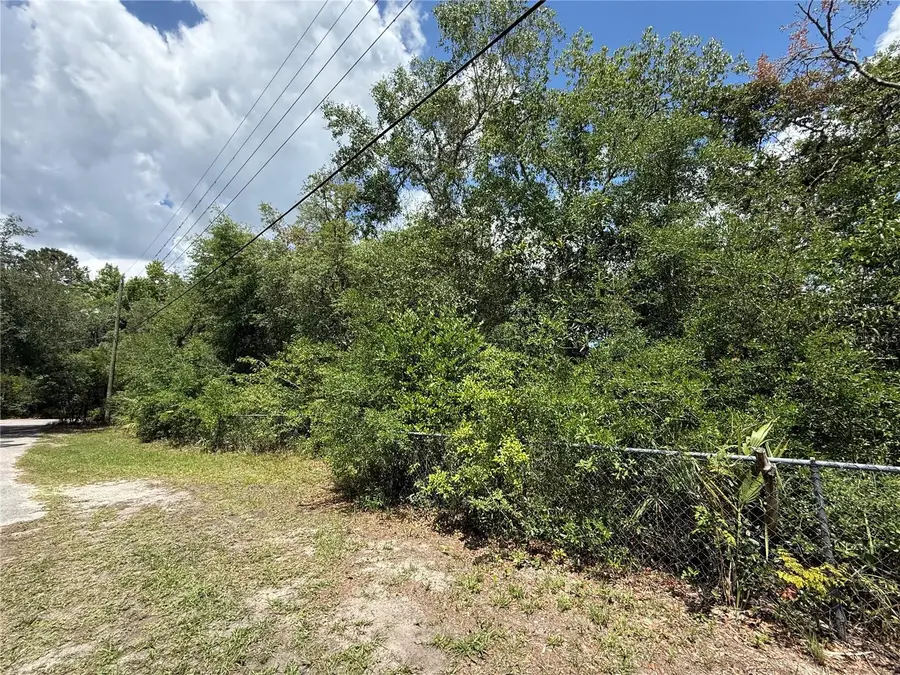11748 Turkey Lane, New Port Richey, FL 34654 - #3