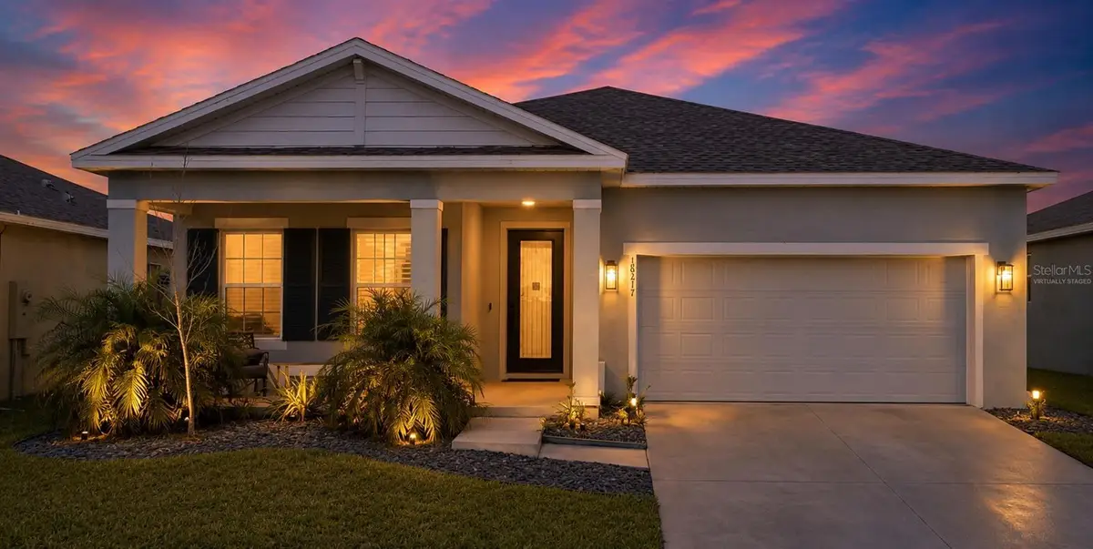 18217 Falling Pine Needle Lane, Land O Lakes, FL 34638 - #1
