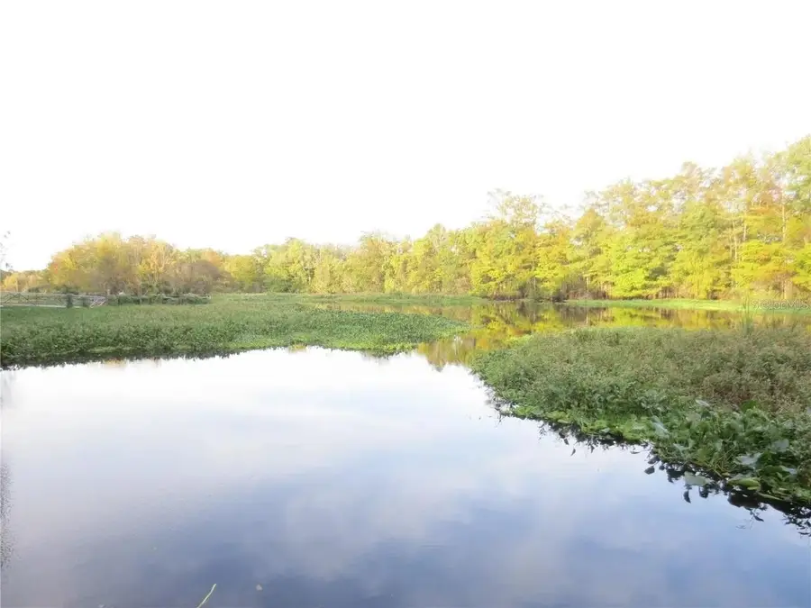 16865 SE 3rd Place, Silver Springs, FL 34488 - #3