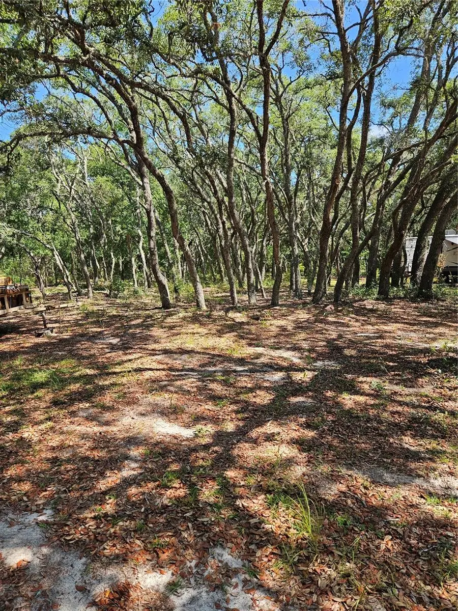 4300 W Roadrunner Court, Homosassa, FL 34446 - #2