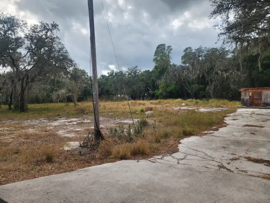 1409 Wilkinson Drive, Plant City, FL 33566 - #2
