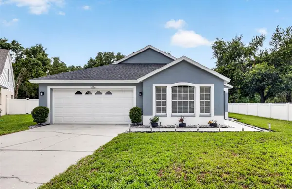 15826 Stags Leap Drive, LUTZ, FL 33559