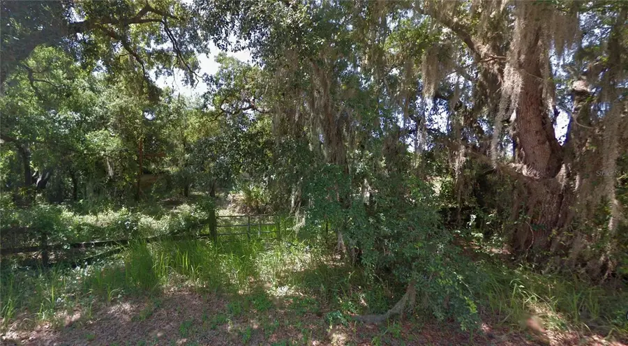 125 Oak Lane, Zolfo Springs, FL 33890 - #3