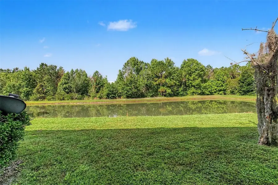 26838 Juniper Bay Drive, Wesley Chapel, FL 33544 - #2