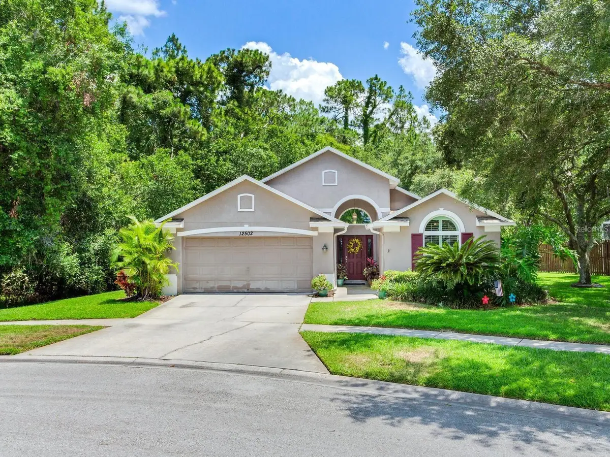 12502 Blazing Star Drive, Tampa, FL 33626 - #1