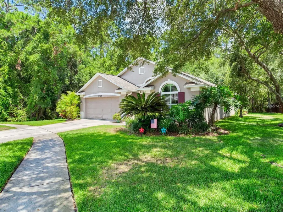 12502 Blazing Star Drive, Tampa, FL 33626 - #2