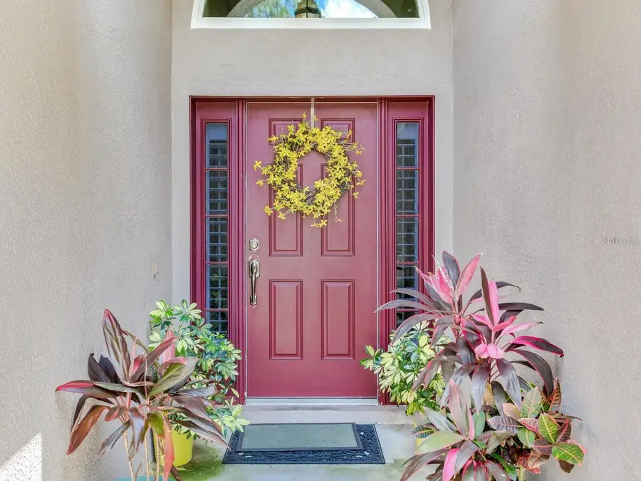12502 Blazing Star Drive, Tampa, FL 33626 - #3