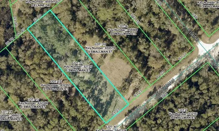Smallman Street, Webster, FL 33597 - #1