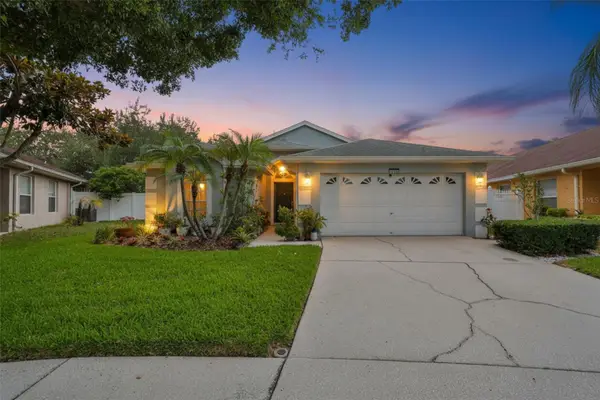5646 Tughill Drive, TAMPA, FL 33624