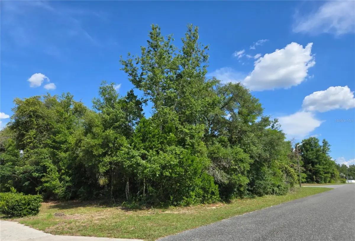 TBD Marion Oaks Drive, Ocala, FL 34473 - #1
