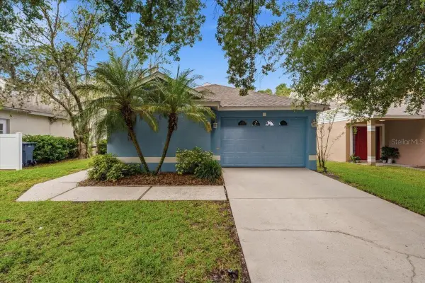5863 Meadowpark Place, LITHIA, FL 33547