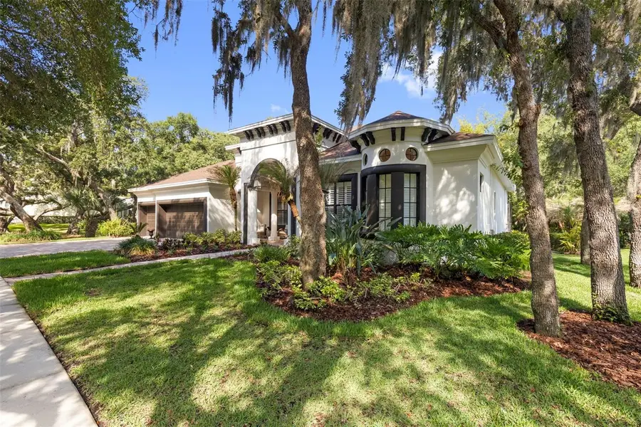5717 Ternwater Place, Lithia, FL 33547 - #3