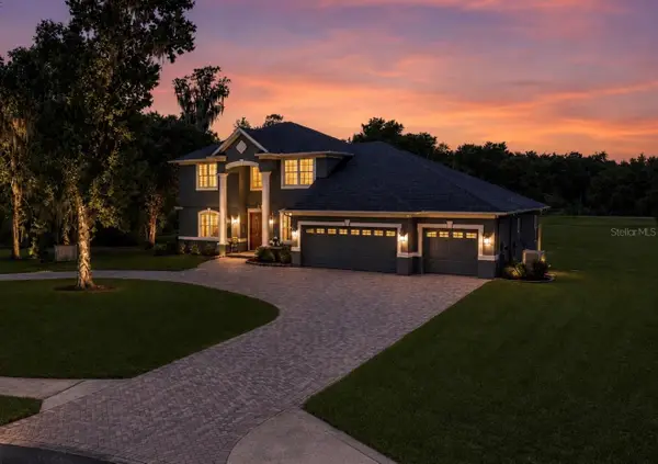 10619 Lithia Estates Drive, LITHIA, FL 33547