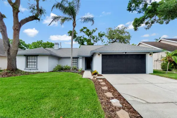 15026 Redcliff Drive, TAMPA, FL 33625