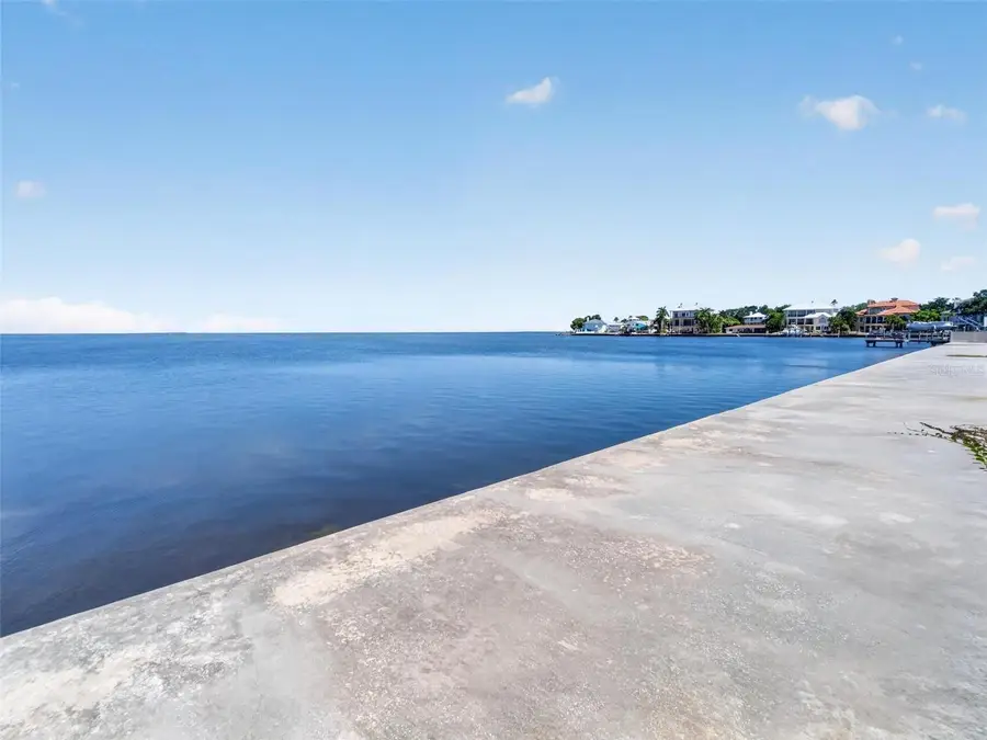621 N Mayo Street, Crystal Beach, FL 34681 - #2