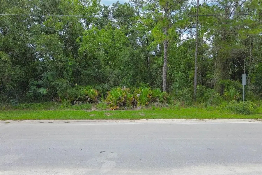 6859 W Merrivale Lane, Homosassa, FL 34446 - #2
