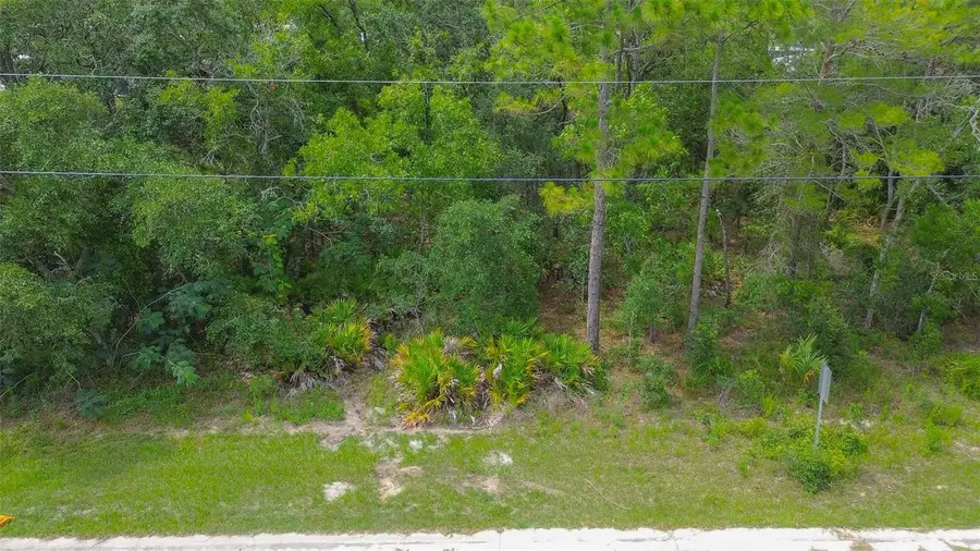 6859 W Merrivale Lane, Homosassa, FL 34446 - #3