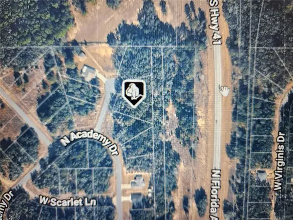 11197 N Denice Point, DUNNELLON, FL 34434