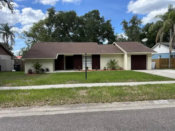 17644 Meadowbridge Drive, LUTZ, FL 33549