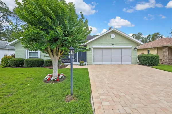 7052 Sparkling Creek Court, SPRING HILL, FL 34606