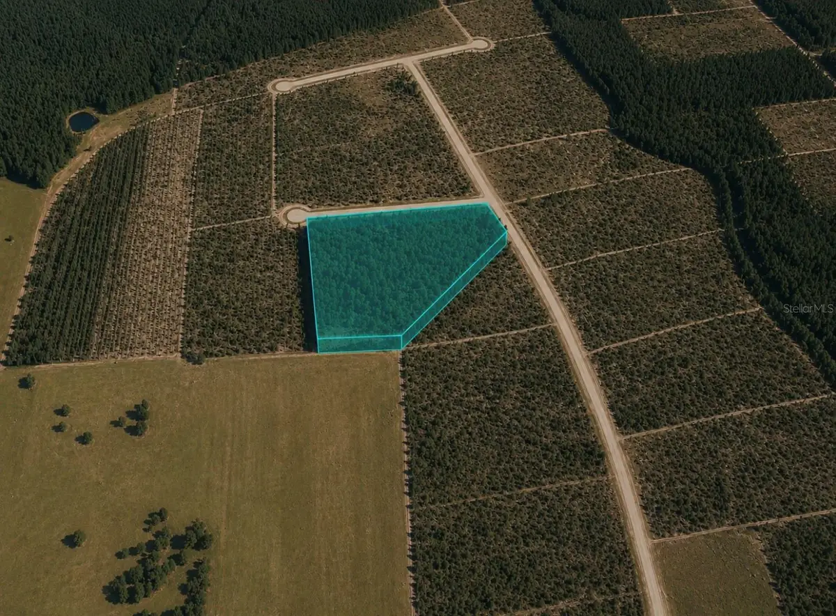 Unassigned, Bristol, FL 32321 - #1