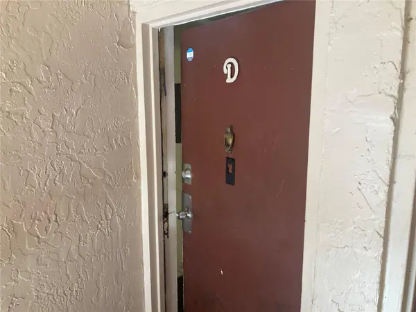 7502 Needle Leaf Place #70, TAMPA, FL 33617