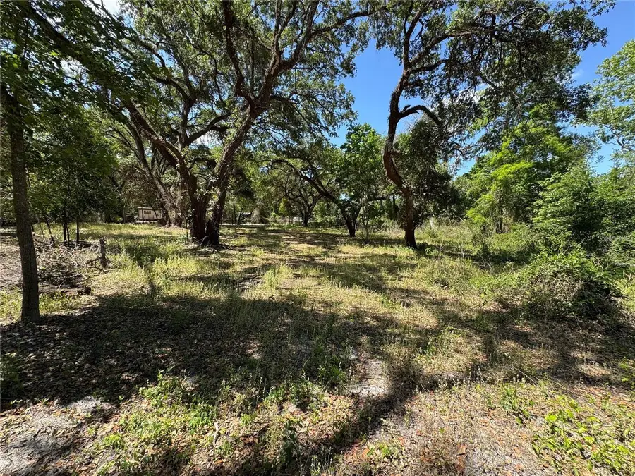 Tannahill Street, Dade City, FL 33523 - #2