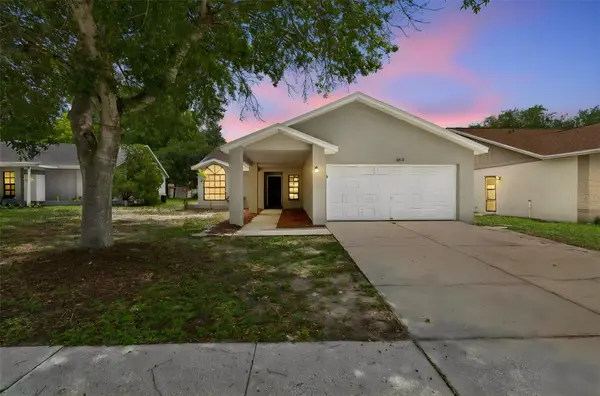 11318 Blackbark Drive, RIVERVIEW, FL 33579
