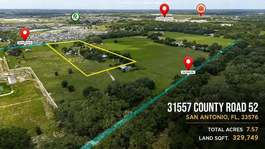 31668 Hartman Road, San Antonio, FL 33576 - #3