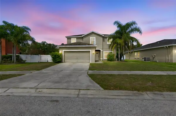 10620 Carloway Hills Drive, WIMAUMA, FL 33598