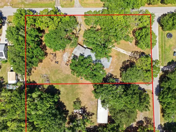 1136 Wildwood Lane, LUTZ, FL 33558