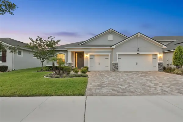 11527 Cedar Valley Drive, RIVERVIEW, FL 33569
